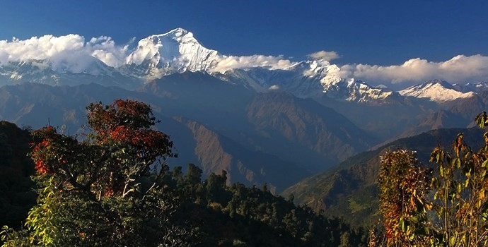 Bardia and Poon Hill
